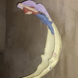 A moon bowl for keys, jewelery ect.